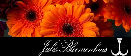 Of u nu een bloemetje voor in huis, een presentje, bruidswerk, of rouwarrangement nodig heeft, Jules Bloemenhuis verzorgt deze allemaal met de meeste zorgvuldigheid, creativiteit en met super kwaliteit bloemen.